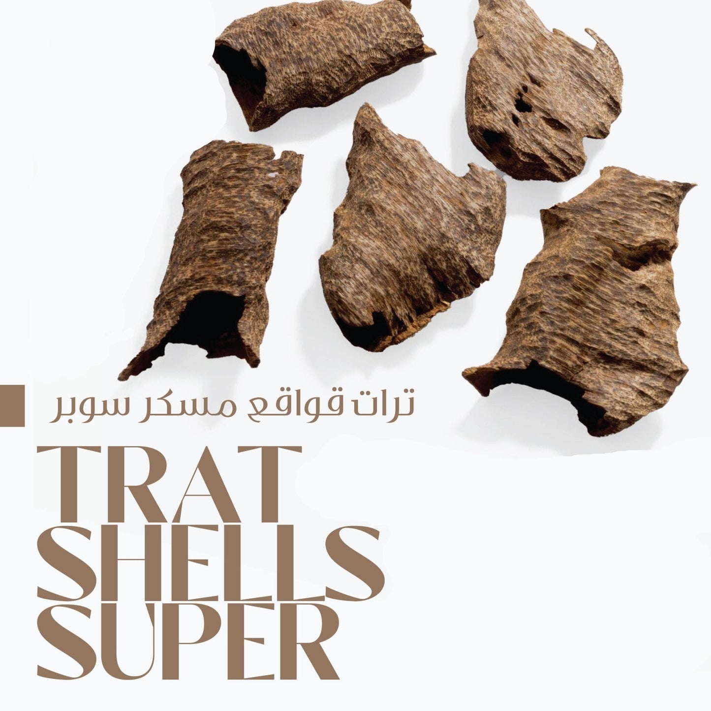 Trat Shells بخور التراد قواقع